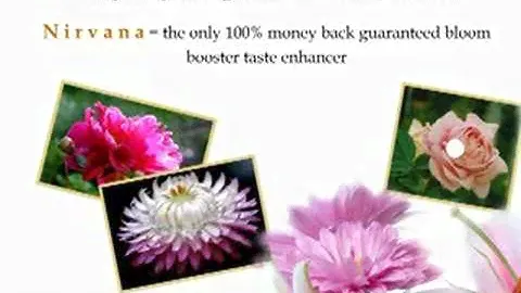 Easy Hydroponics--Organic Nirvana